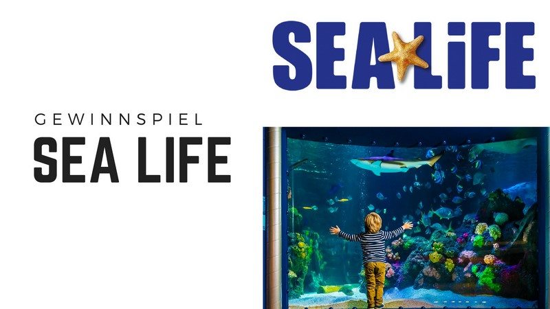 SEA LIFE Gewinnspiel Dezember