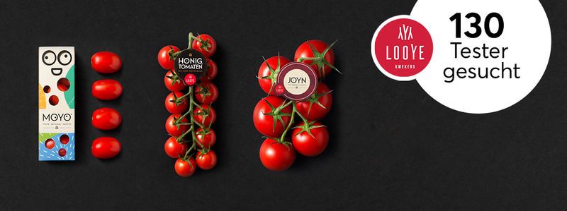 130 Tester für Tomaten-Vielfalt von Looye Kwekers gesucht